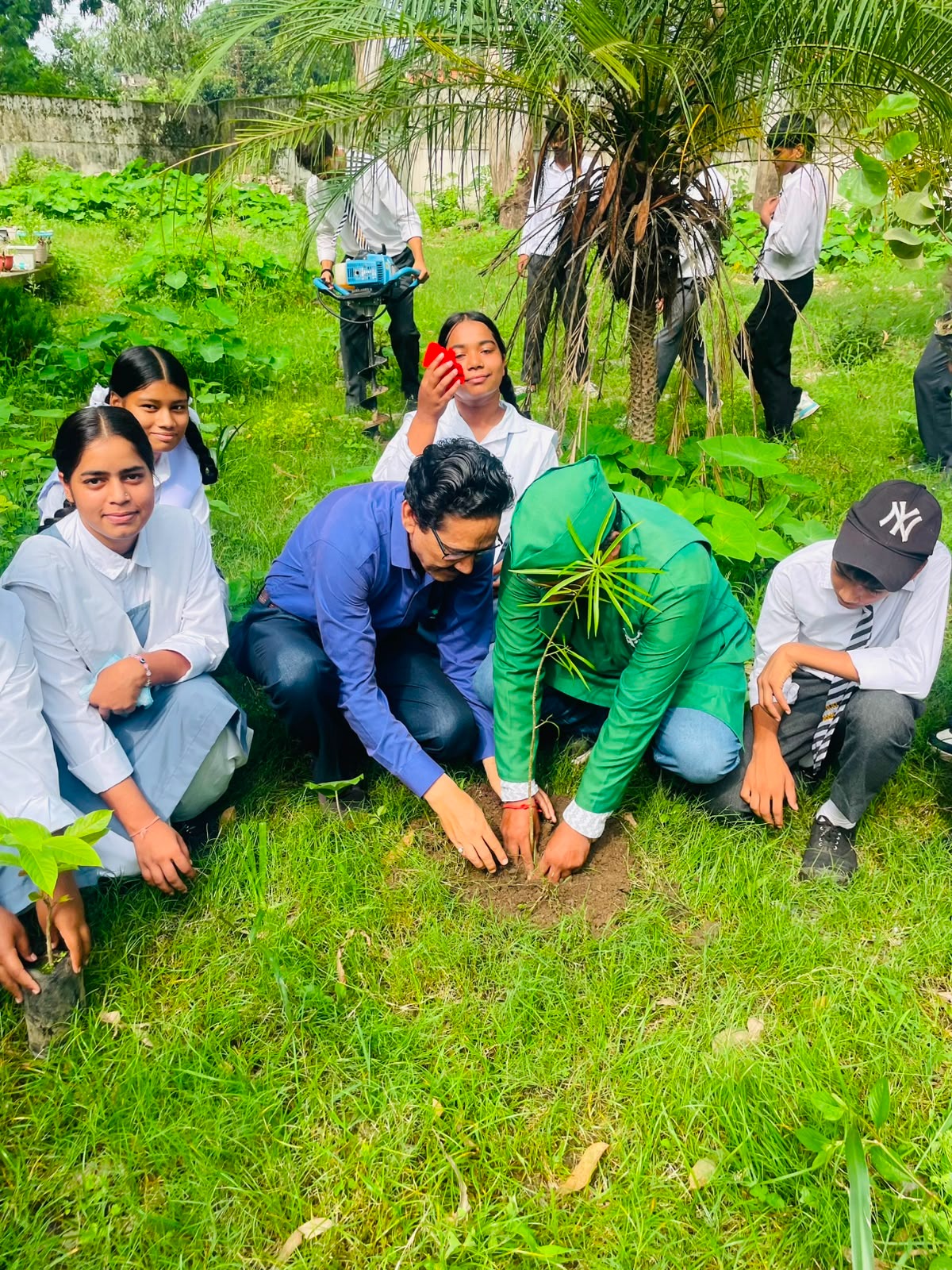 Plantation Drive